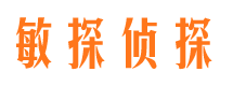 海晏市私家侦探